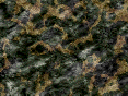 xm006769.gif
