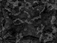 xm006768.gif