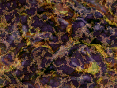 xm006763.gif