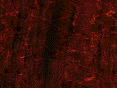 xm006762.gif
