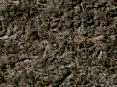 xm006761.gif