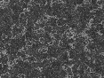 xm006758.gif