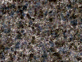xm006756.gif