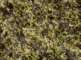 xm006754.gif