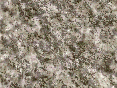 xm006753.gif