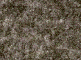 xm006751.gif