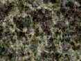 xm006747.gif