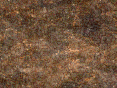 xm006746.gif