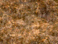 xm006745.gif