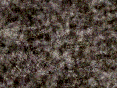 xm006744.gif