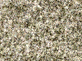 xm006743.gif