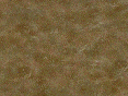 xm006741.gif