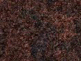 xm006739.gif