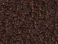 xm006737.gif