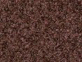 xm006736.gif