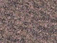 xm006732.gif