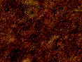 xm006731.gif