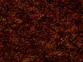 xm006730.gif
