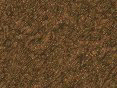 xm006727.gif