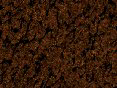 xm006726.gif