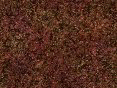 xm006725.gif