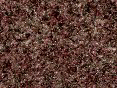 xm006724.gif