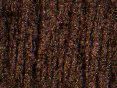 xm006722.gif