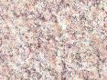 xm006716.gif