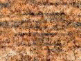xm006715.gif