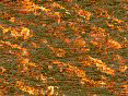 xm006711.gif