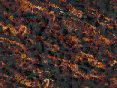 xm006710.gif