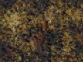 xm006709.gif