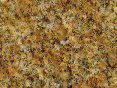 xm006708.gif