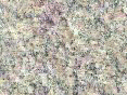 xm006703.gif