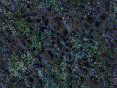 xm006700.gif