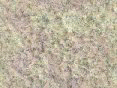 xm006698.gif