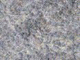 xm006697.gif