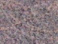 xm006696.gif