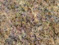 xm006693.gif