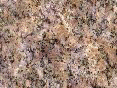 xm006691.gif