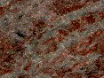 xm006690.gif