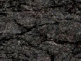 xm006689.gif