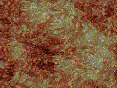 xm006688.gif