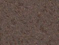 xm006686.gif