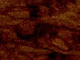 xm006685.gif