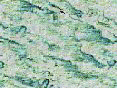 xm006677.gif