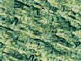 xm006676.gif
