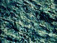 xm006675.gif