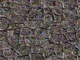 xm006670.gif