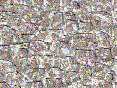 xm006669.gif